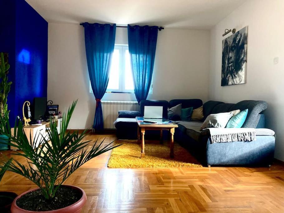 Ferienwohnung Amazing Memories Belgrad Exterior foto